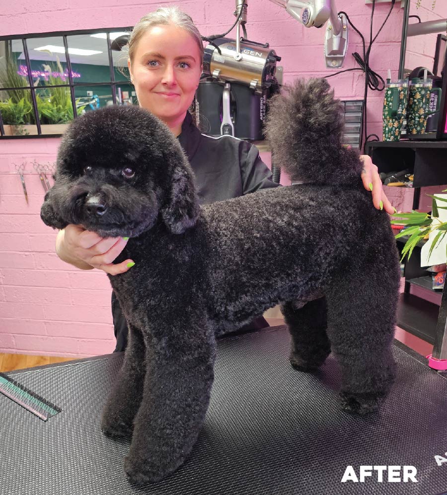 after: groomer smiling with dog after being serviced