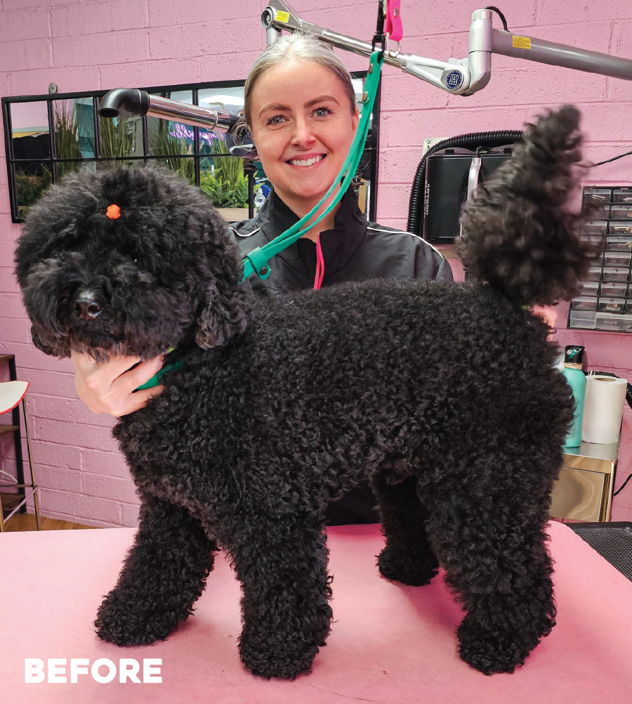 before: groomer smiling with dog before being serviced