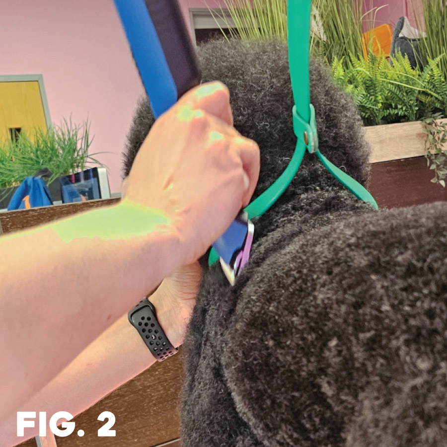 fig. 2: groomer using clippers shoulder of black haired poodle