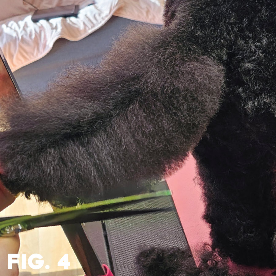 fig. 4: groomer using sheers to trim arm hair