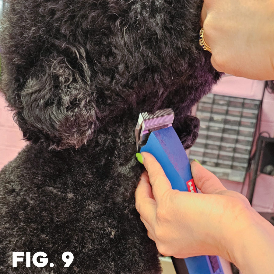 fig. 9: groomer using clippers under the dog's chin