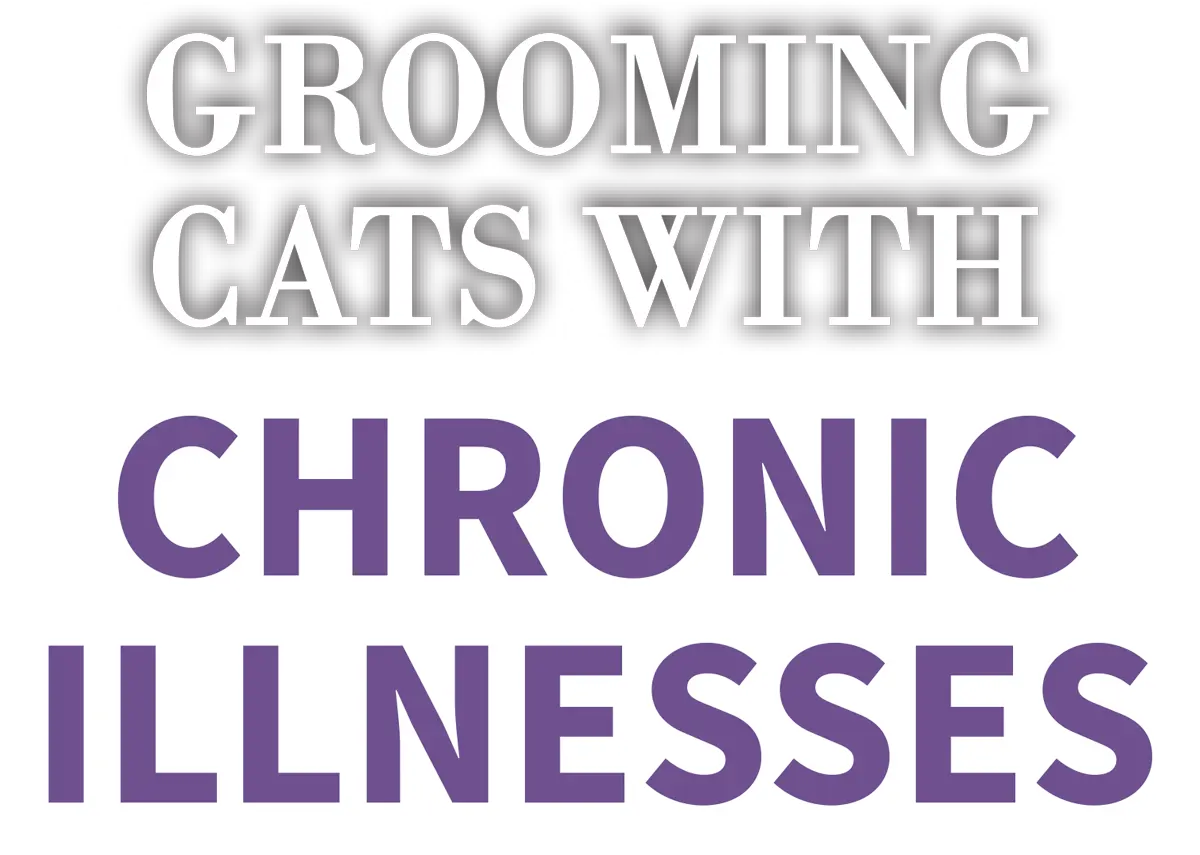 Grooming Cats with Chronic Illnesses cover typography