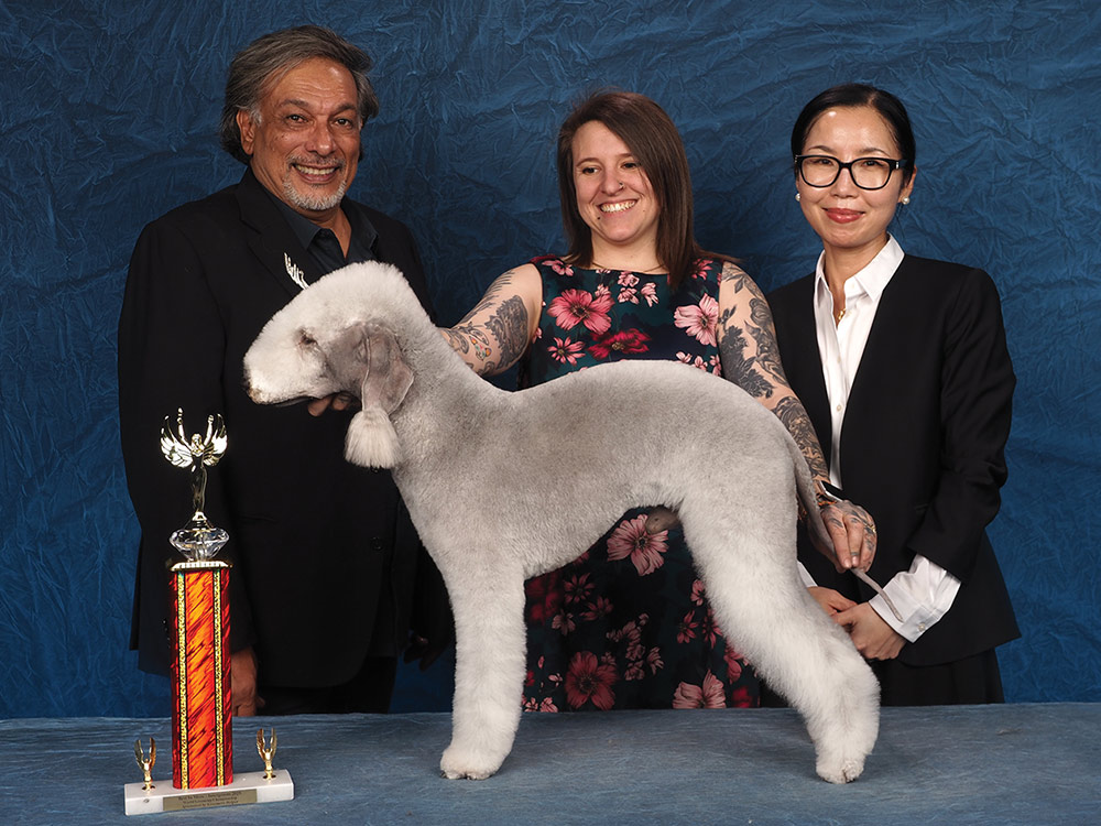 Nadia Bongelli's Integroom 2025 World Championship contest photo