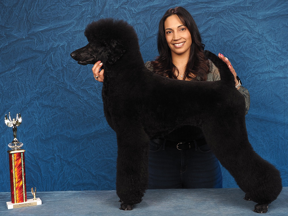 Veronica Perez's Integroom 2025 Best First Timer contest photo