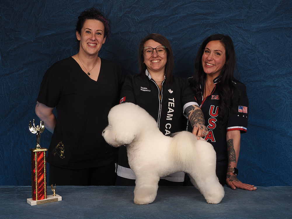 Nadia Bongelli, Mackensie Murphy, and Lindsey Dicken's Integroom 2025 1st place Tag, You're It: Team Challenge contest photo