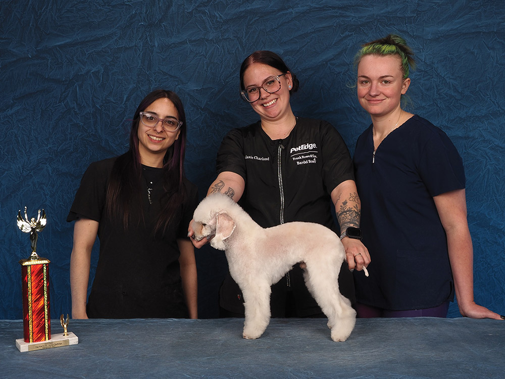 Bethany Domke, Melanie Charland, and Rachel George's Integroom 2025 2nd Tag, You're It: Team Challenge contest photo