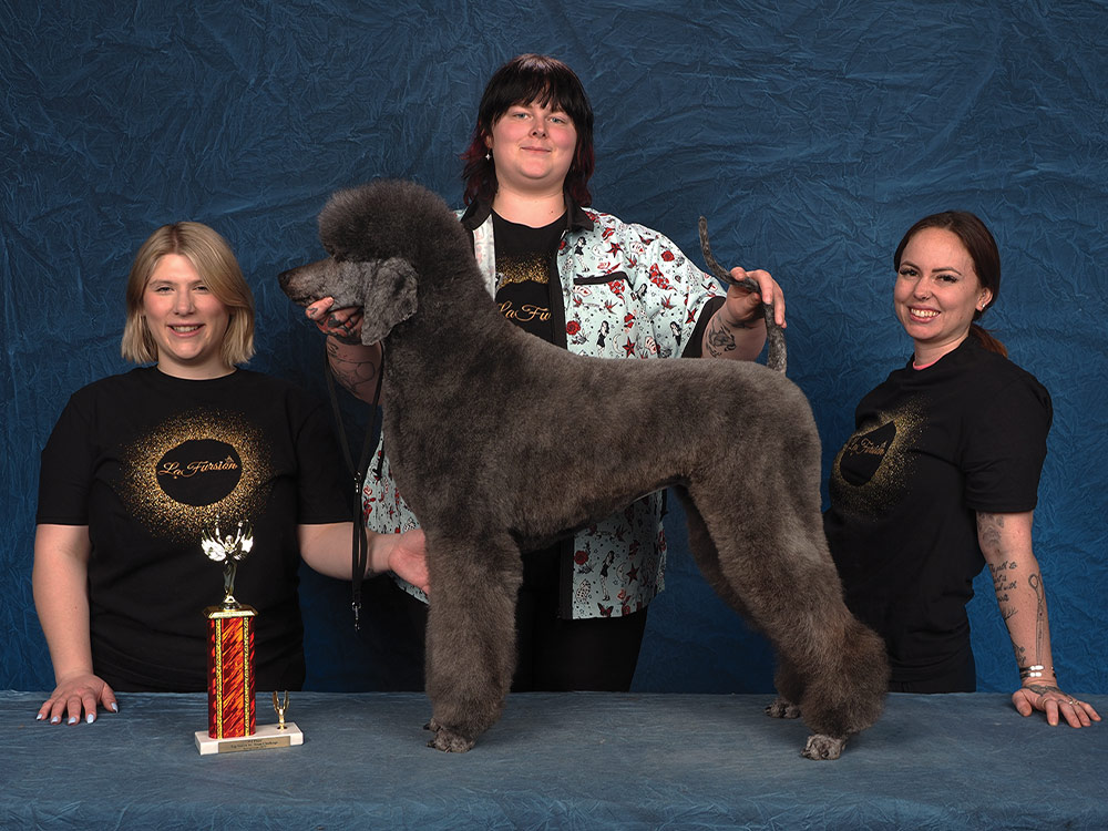 Chelsea Anderson, Gabriella Rudnick, and Madison Anders's 3rd Integroom 2025 Tag, You're It: Team Challenge contest photo