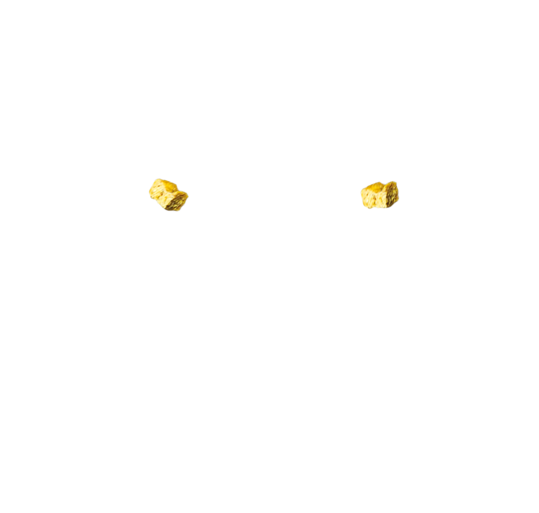 The Do’s & Don’ts of Using Treats in the Grooming Salon typography