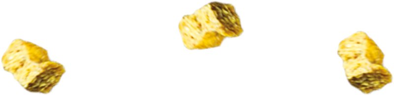 two dog treats