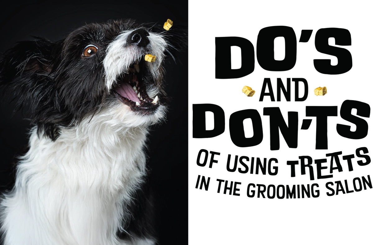 The Do’s & Don’ts of Using Treats in the Grooming Salon article imagery and typography