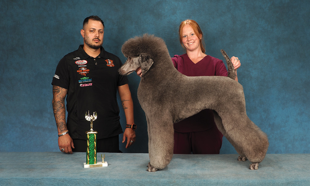 Maddie Olsen’s PetQuest 2025 Poodle 1st Intermediate contest photo