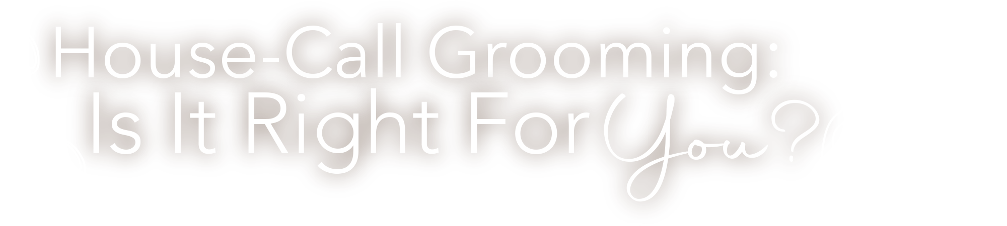 House-Call Grooming: Is It Right For You?