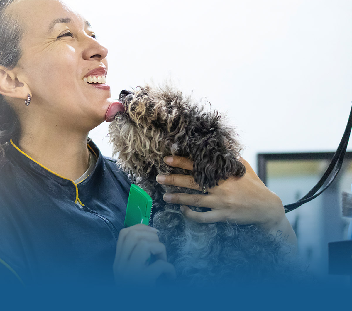 a female groomer smiles as the curly haired dog she is grooming licks her on her chin