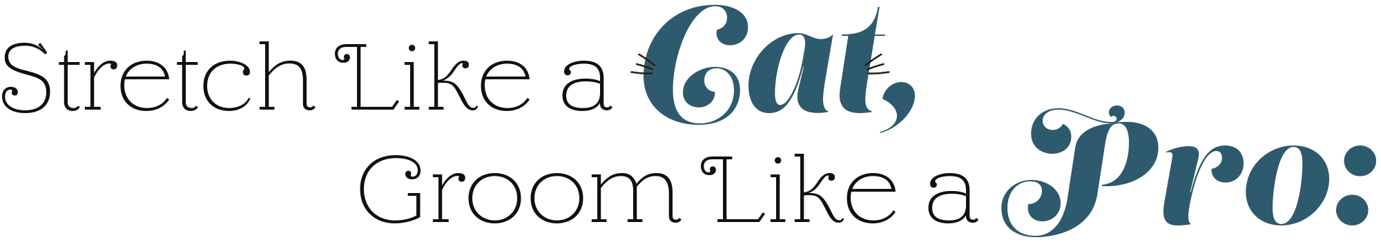 Stretch Like a Cat, Groom Like a Pro: typography