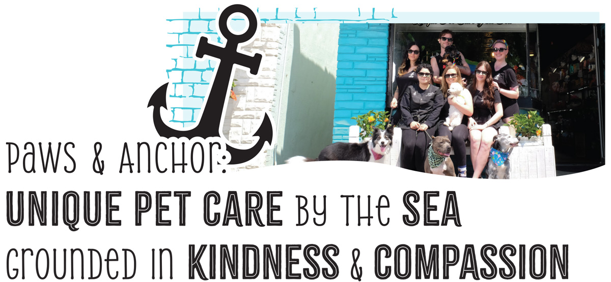 Paws & Anchor: Unique Pet Care by the Sea Grounded in Kindness & Compassion article imagery and typography