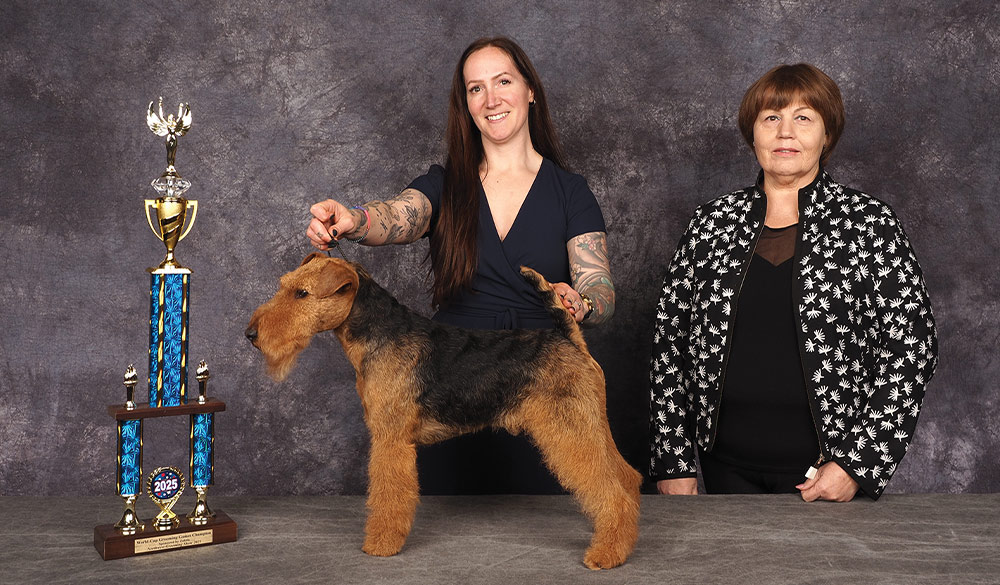 Jovi Wagner's Northwest 2025 Grooming Show Best in Show contest photo