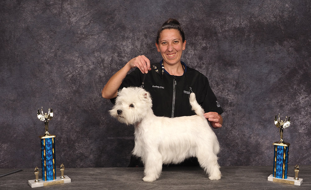 Courtney Garton's Northwest 2025 Grooming Show Wire Coated 1st Place Entry contest photo
