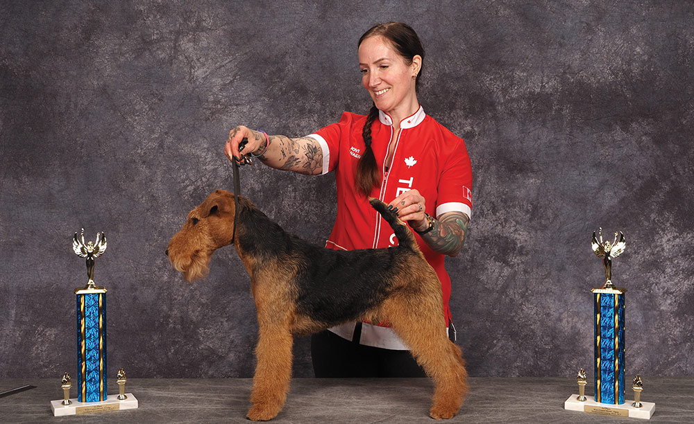 Jovi Wagner's Northwest 2025 Grooming Show Wire Coated 1st Place Open contest photo