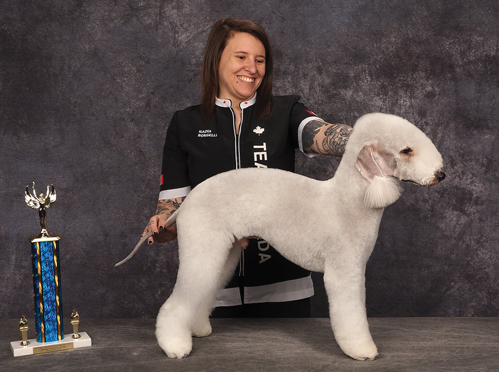 Nadia Bongelli’s Northwest 2025 Grooming Show All Other Purebreeds 1st Place Open contest photo
