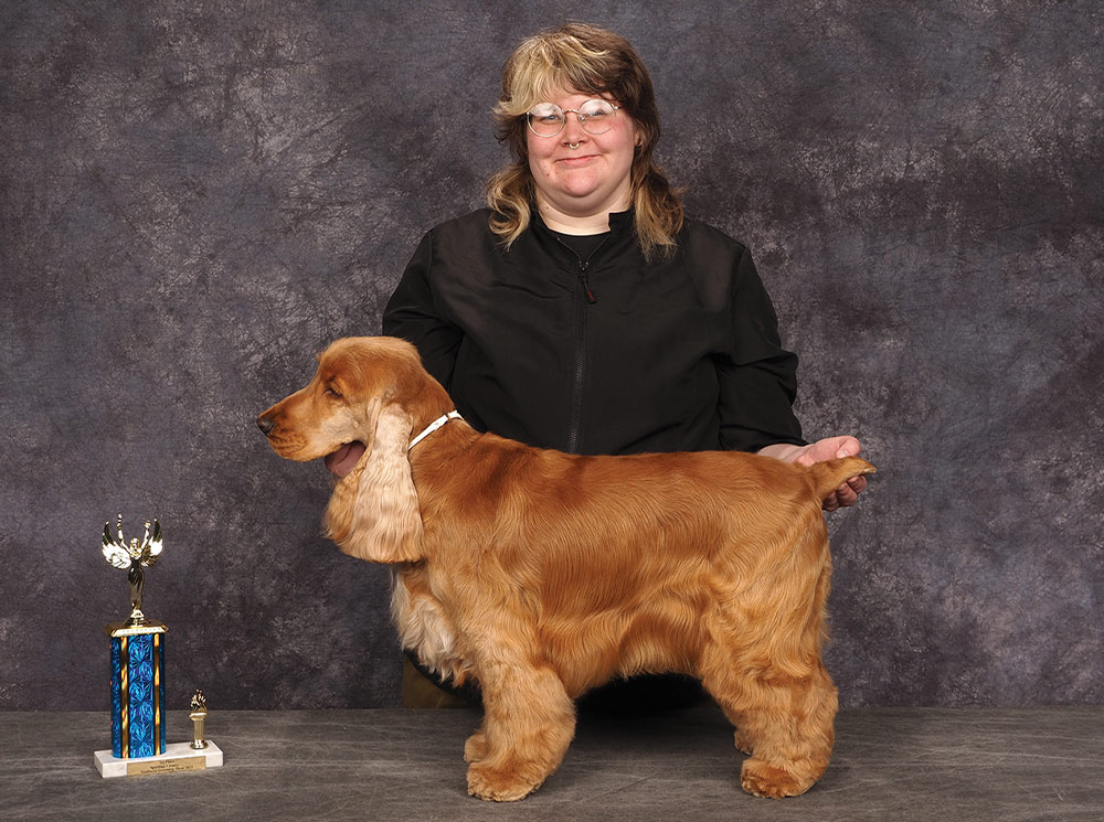 Madeline Clark’s Northwest 2025 Grooming Show Sporting 1st Place Entry contest photo