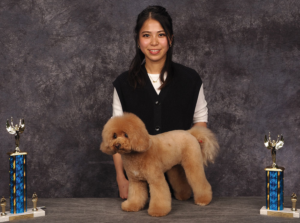 Kotone Katsuta’s Northwest 2025 Grooming Show Salon Freestyle 1st Place Entry contest photo