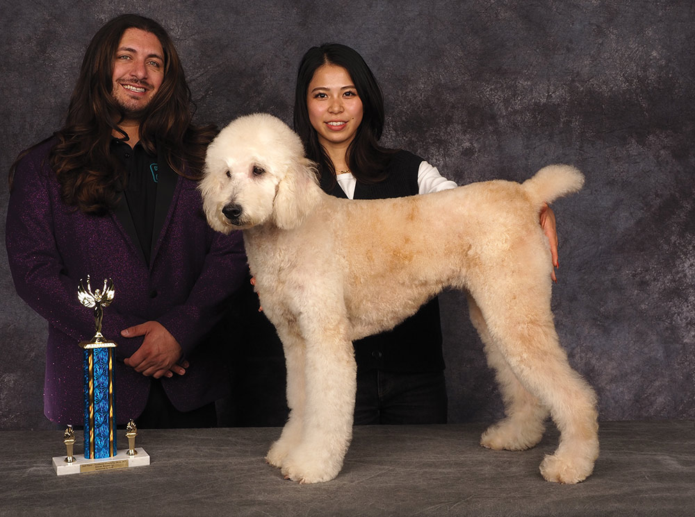 Kotone Katsuta’s Northwest 2025 Grooming Show Rescue Roundup 2nd Place Entry contest photo