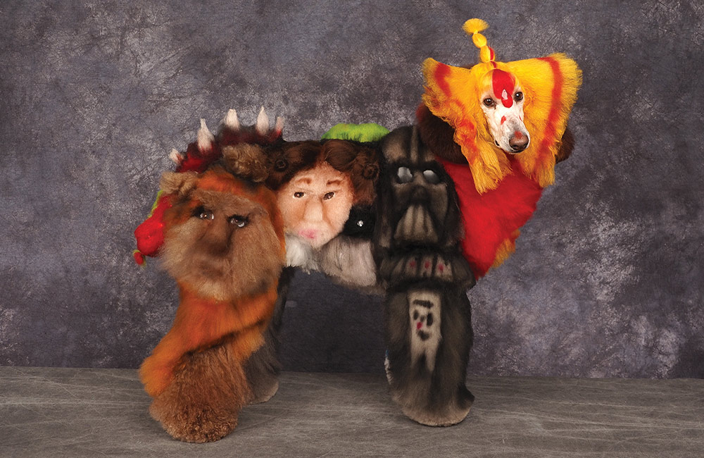 Holly Baker’s Northwest 2025 Grooming Show Creative People's Choice subject photo