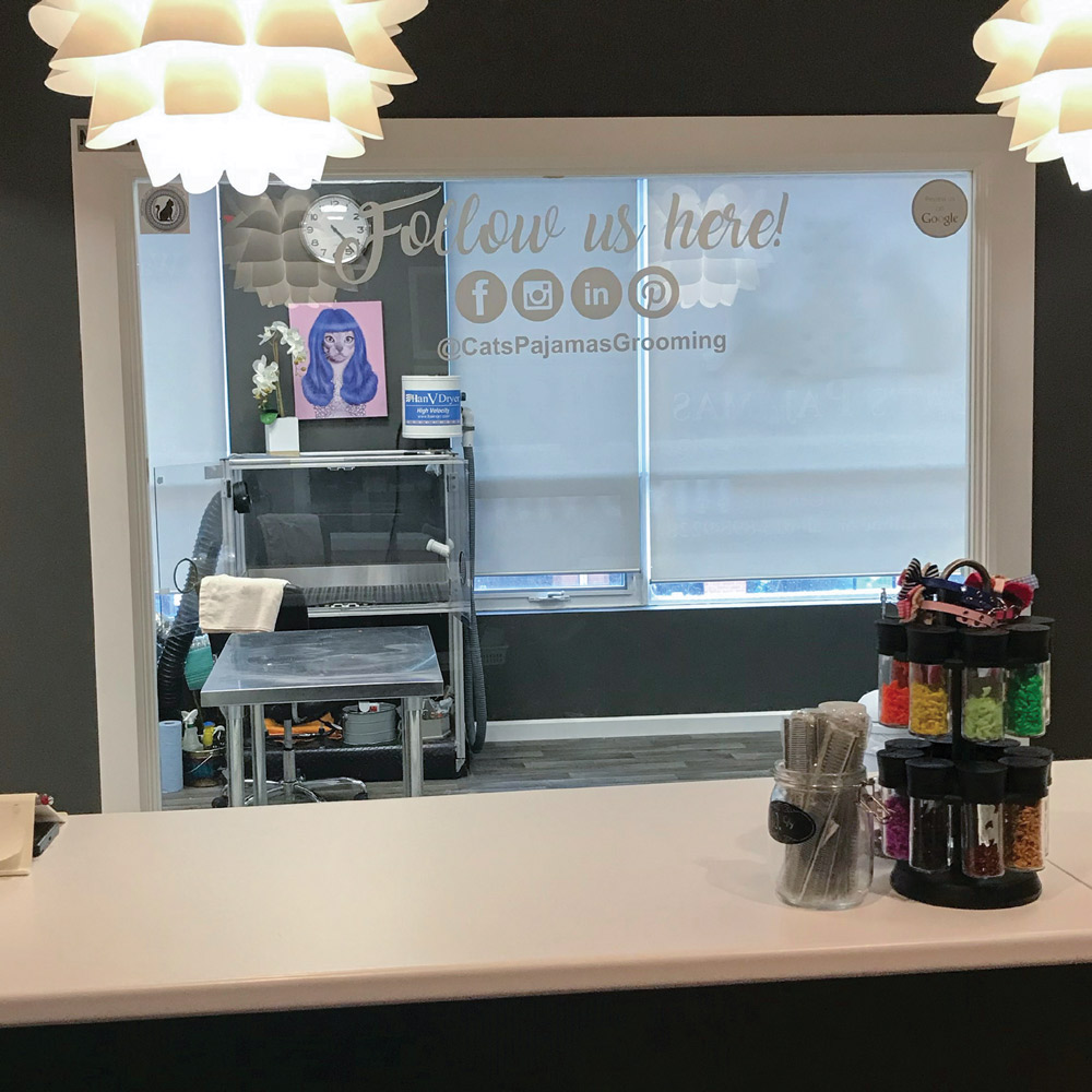 The reception area of a cat grooming business, featuring a white counter, a window with social media icons, and a rack of grooming accessories.