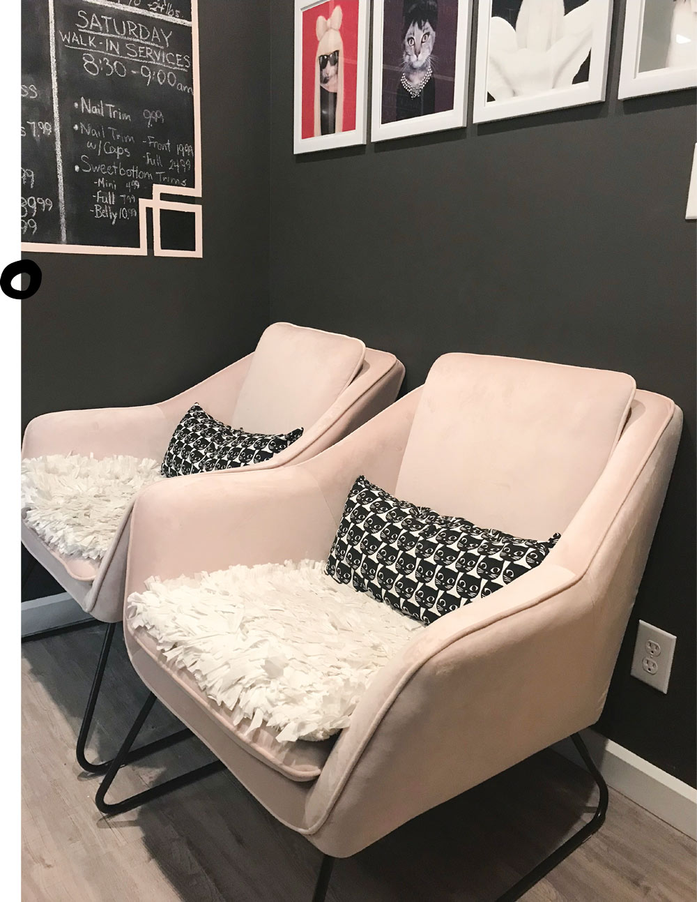 A waiting area with two pink armchairs, each with a fluffy white cushion and a black pillow with cat faces. A chalkboard menu is visible on the wall.