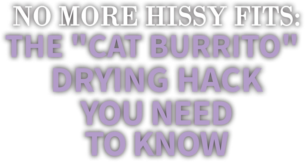 No More Hissy Fits: The “Cat Burrito” Drying Hack You Need to Know cover typography