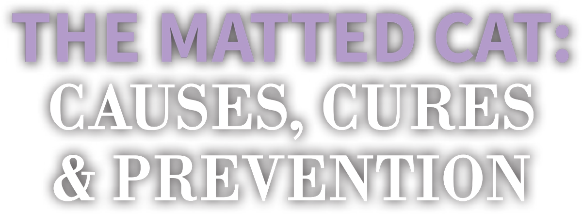 The Matted Cat: Causes, Cures & Prevention cover typography