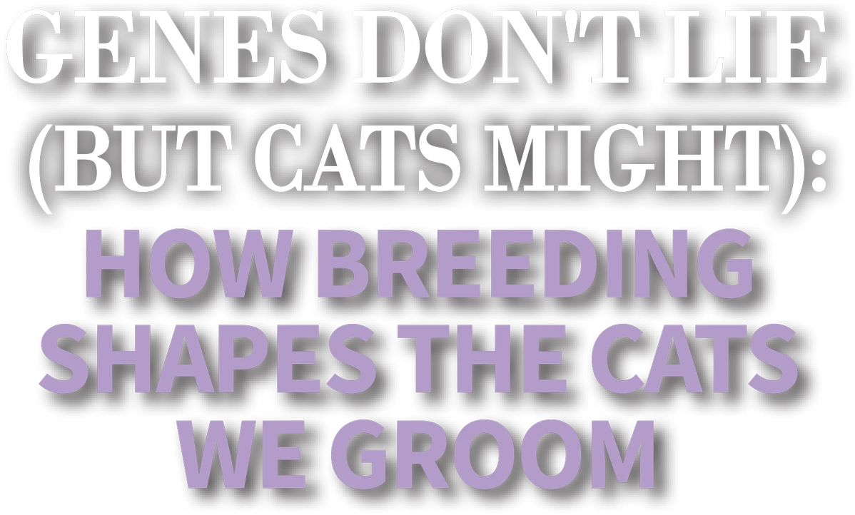 Genes Don’t Lie (But Cats Might): How Breeding Shapes the Cats We Groom cover typography