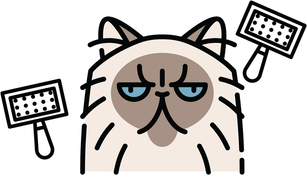 vector illustration of a persian/exotic shorthair cat
