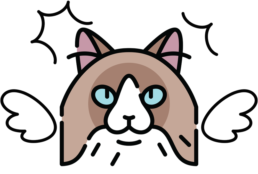 vector illustration of a Ragdoll/Birman cat