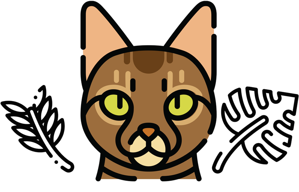 vector illustration of a Bengal cat