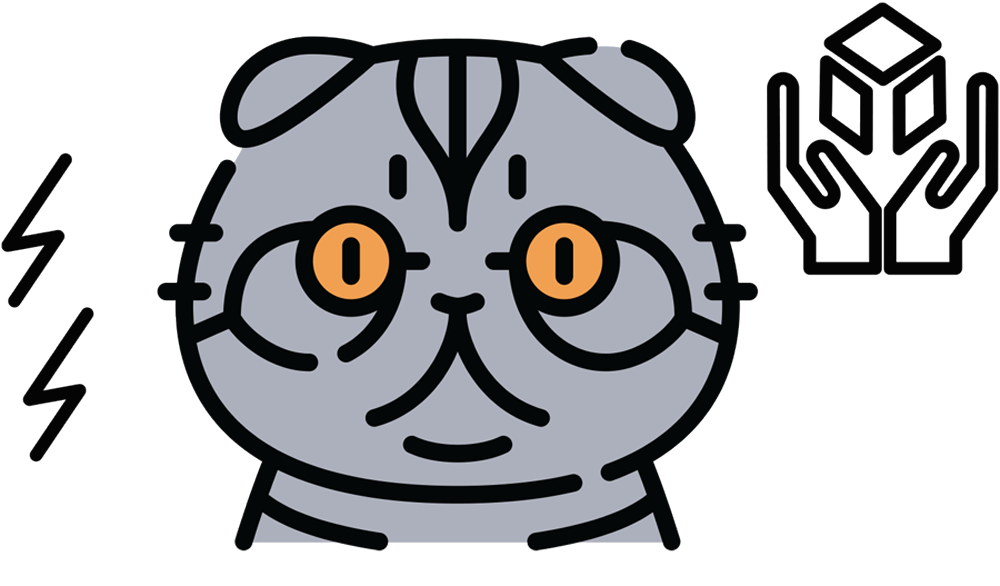 vector illustration of a Scottish Fold/Munchkin/Designer cat