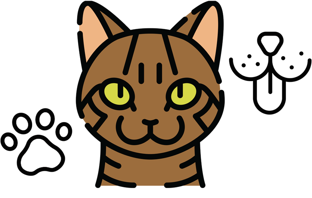 vector illustration of a Tabby cat