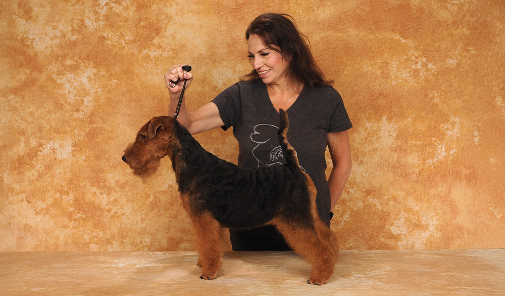 Elizabeth Johnson's Groom Expo West 2025 Wire Coated 1st Intermediate contest photo