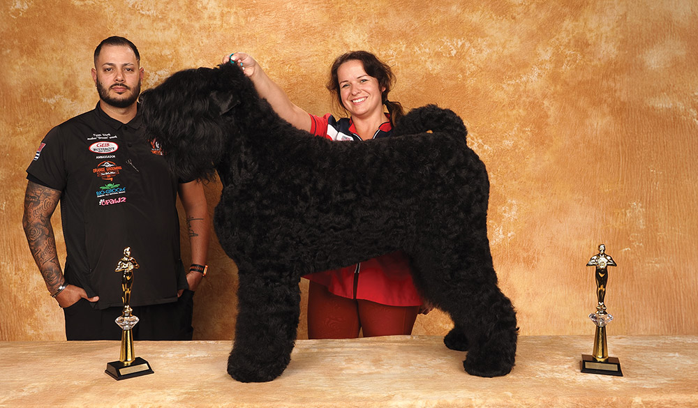 Lis Johnston's Groom Expo West 2025 All Other Purebreeds 1st Open contest photo