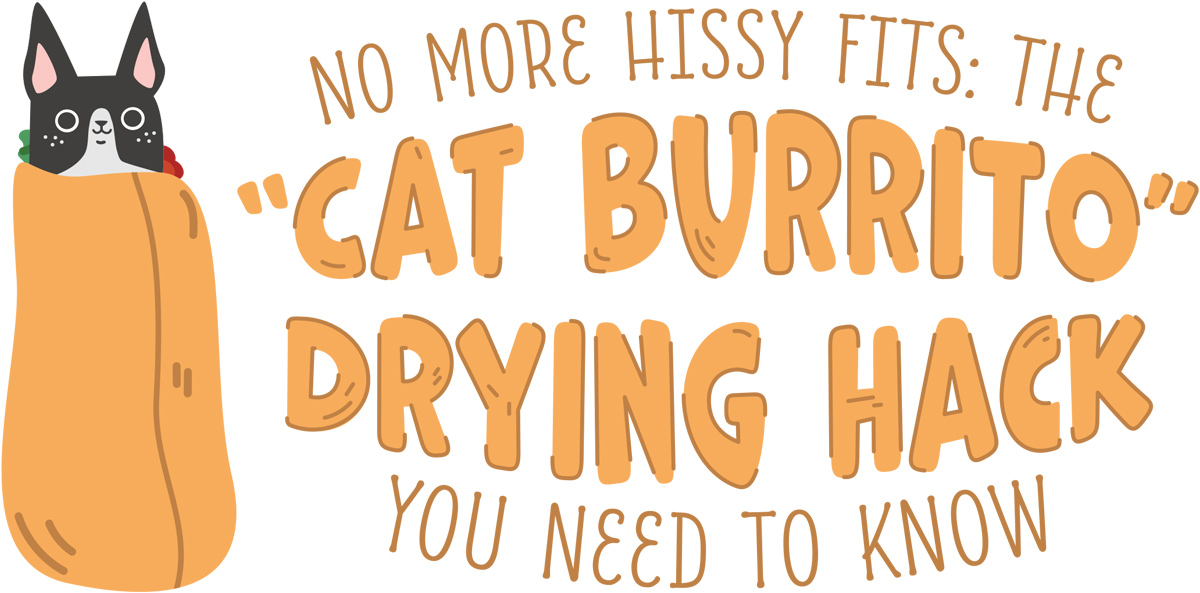 No More Hissy Fits: The “Cat Burrito” Drying Hack You Need to Know article imagery and typography