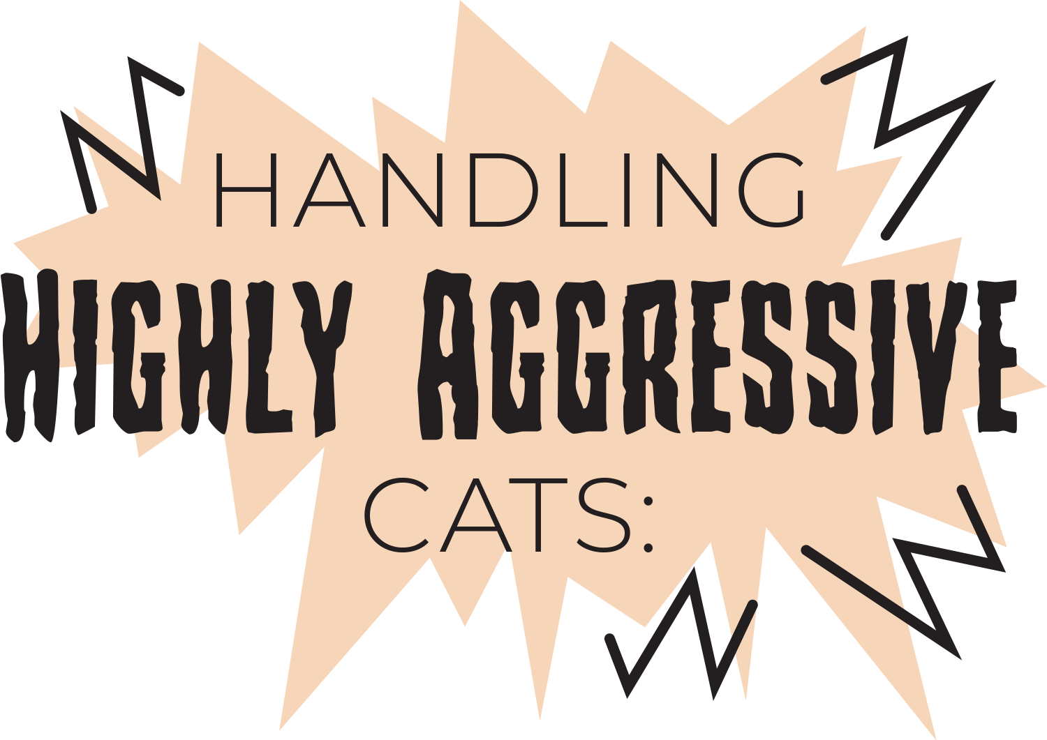 Handling Highly Aggressive Cats:
