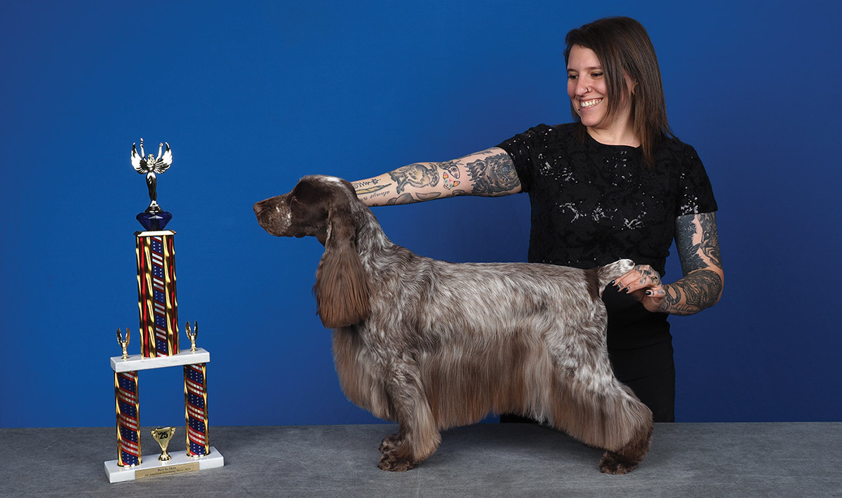 All American Grooming Show 2025 | Best in Show: Nadia Bongelli