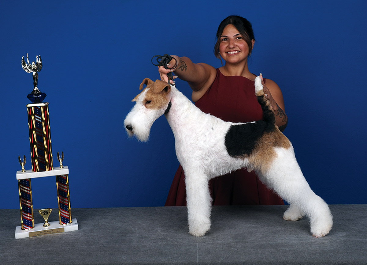 All American Grooming Show 2025 | Best All Around: Macie Pisa