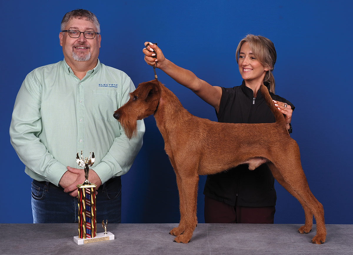 All American Grooming Show 2025 | Wire Coated Breeds 1st Place Intermediate: Jessica Hertogs