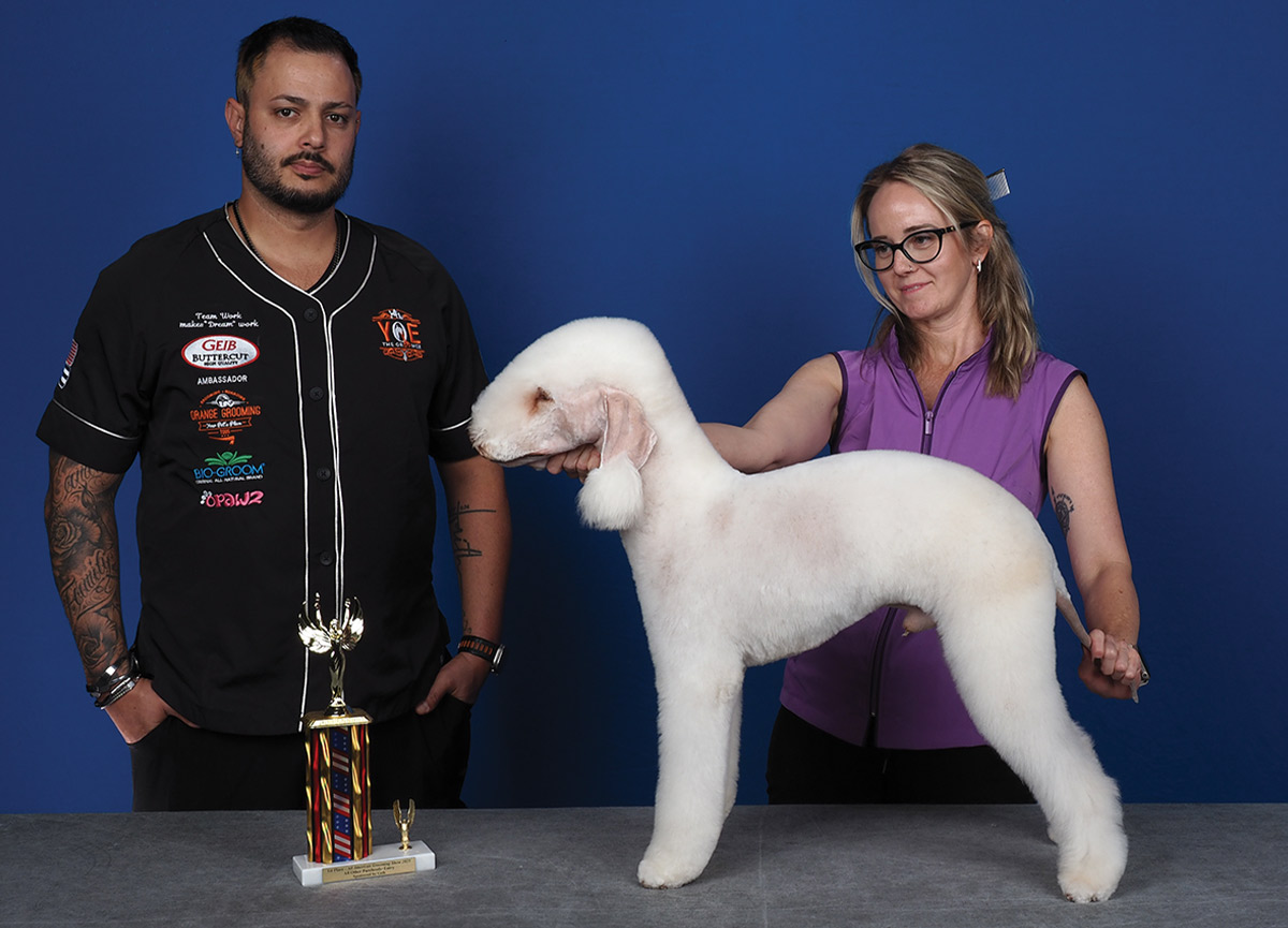 All American Grooming Show 2025 | All Other Purebreeds 1st Place Entry: Melissa Woods