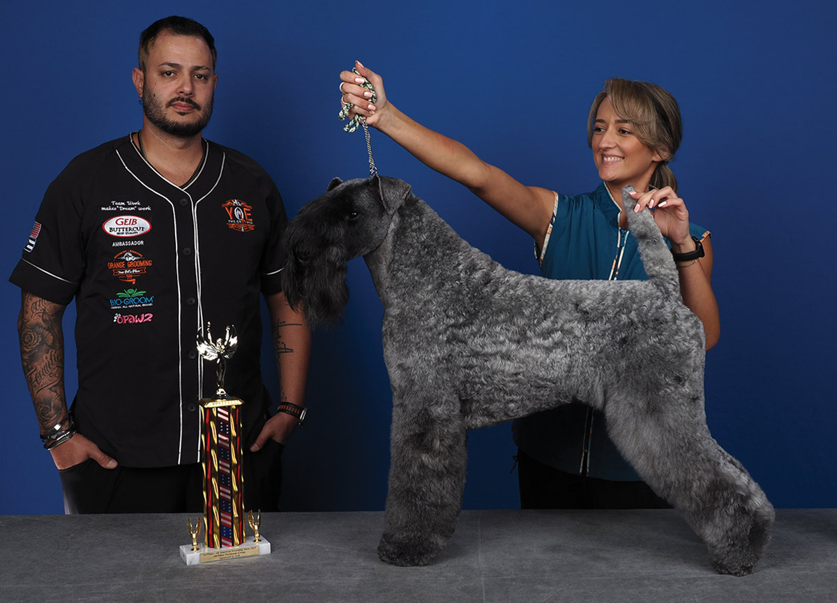 All American Grooming Show 2025 | All Other Purebreeds 1st Place Intermediate: Jessica Hertogs