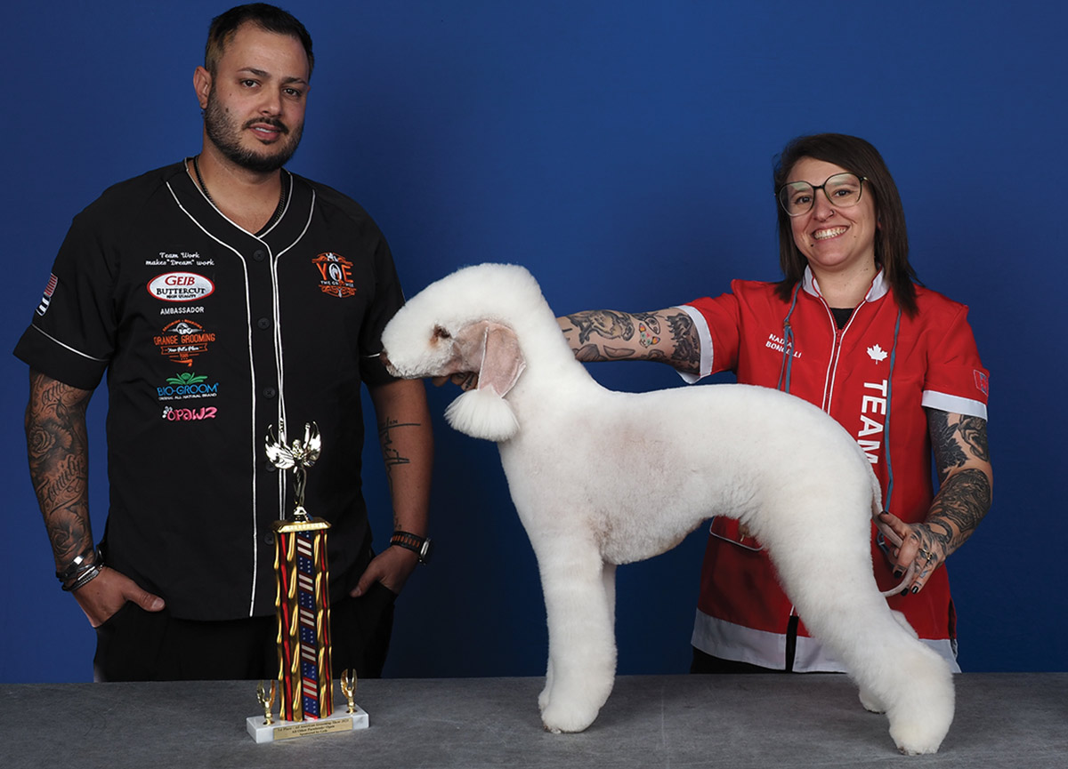 All American Grooming Show 2025 | All Other Purebreeds 1st Place Open: Nadia Bongelli