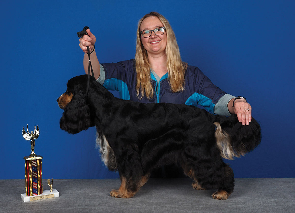 All American Grooming Show 2025 | Sporting Breeds 1st Place Entry: Ashley Staudenmaier