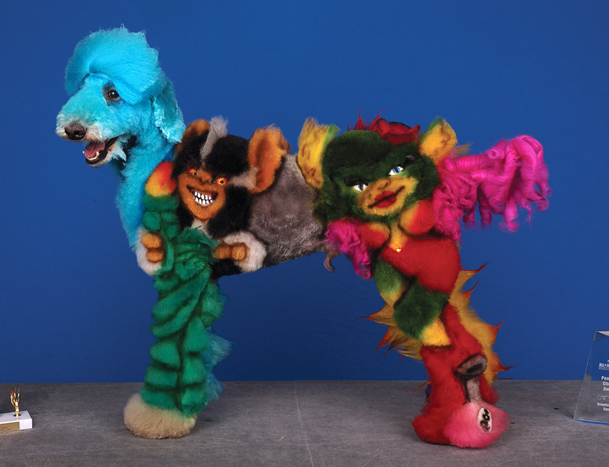 All American Grooming Show 2025 | Creative People's Choice 1st Place Entry: Alyssa Kasiba