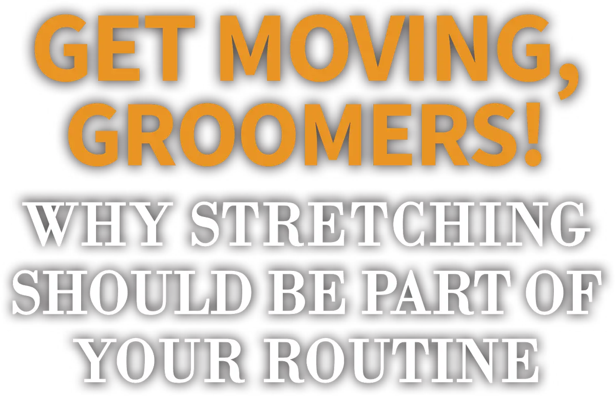 Get Moving, Groomers! Why Stretching Should Be Part of Your Routine cover typography